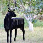 Deer BBQ cnc plan DXF File