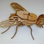 Laser Cut Wooden Fly 3D Puzzle Model Template Free Vector
