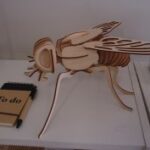 Fly 3D Woodcraft Hobby Wooden Model Laser Cut Free Vector