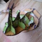Laser Cut Rhino Head DXF File