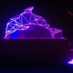 Laser Cut Dolphin 3D Led Lamp DXF File