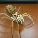 Spider 3D Puzzle Laser Cut Template Free Vector
