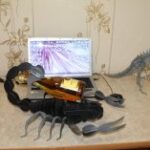 Laser Cut Scorpion DXF File