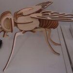 Wooden Fly 3D Model Laser Cut Template Free Vector
