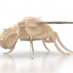 Laser Cut Fly 3D Puzzle DXF File