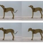 Laser Cut Dog SVG File