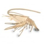 Laser Cut Lobster 3D Puzzle DXF File