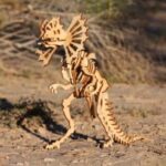 Laser Cut Dilophosaurus Dinosaur 3D Puzzle Model 3mm Free Vector