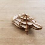Laser Cut Turtle Template Free Vector
