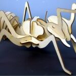 Ant Wood Insect 3d Puzzle DXF File