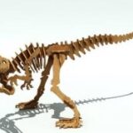 Allosaurus R 6 Mm dxf File