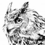 Eagle Owl Laser Engraving Template BMP File
