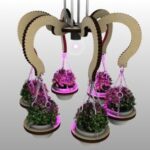 Laser Cut Wooden Chandelier Planters Pendant Lamp Planter DXF File