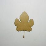 Laser Cut Wood Fig Leaf Cutout Fig Leaf Shape Unfinished Free Vector