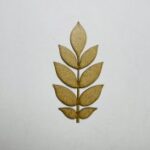 Laser Cut Wooden Ash Leaf Cutout Unfinished Wood Ash Leaf Shape Free Vector